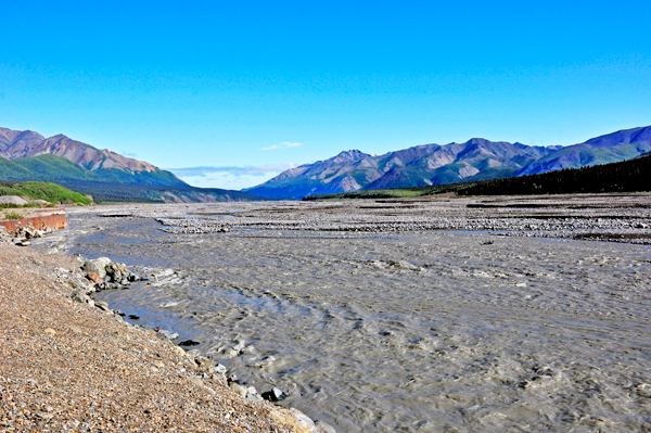 river in Denali National Park